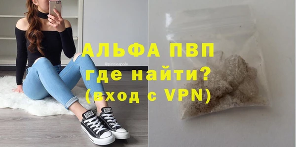 гашик Инсар