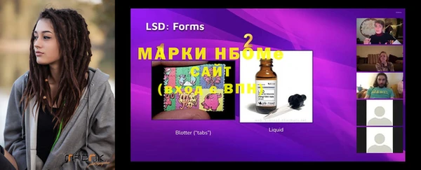 гашик Инсар