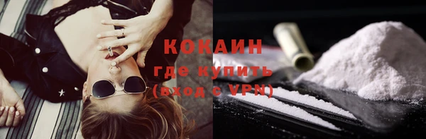 гашик Инсар