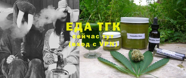 гашик Инсар