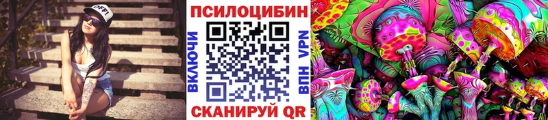 Галлюциногенные грибы Psilocybe  Купить закладки  Семикаракорск 